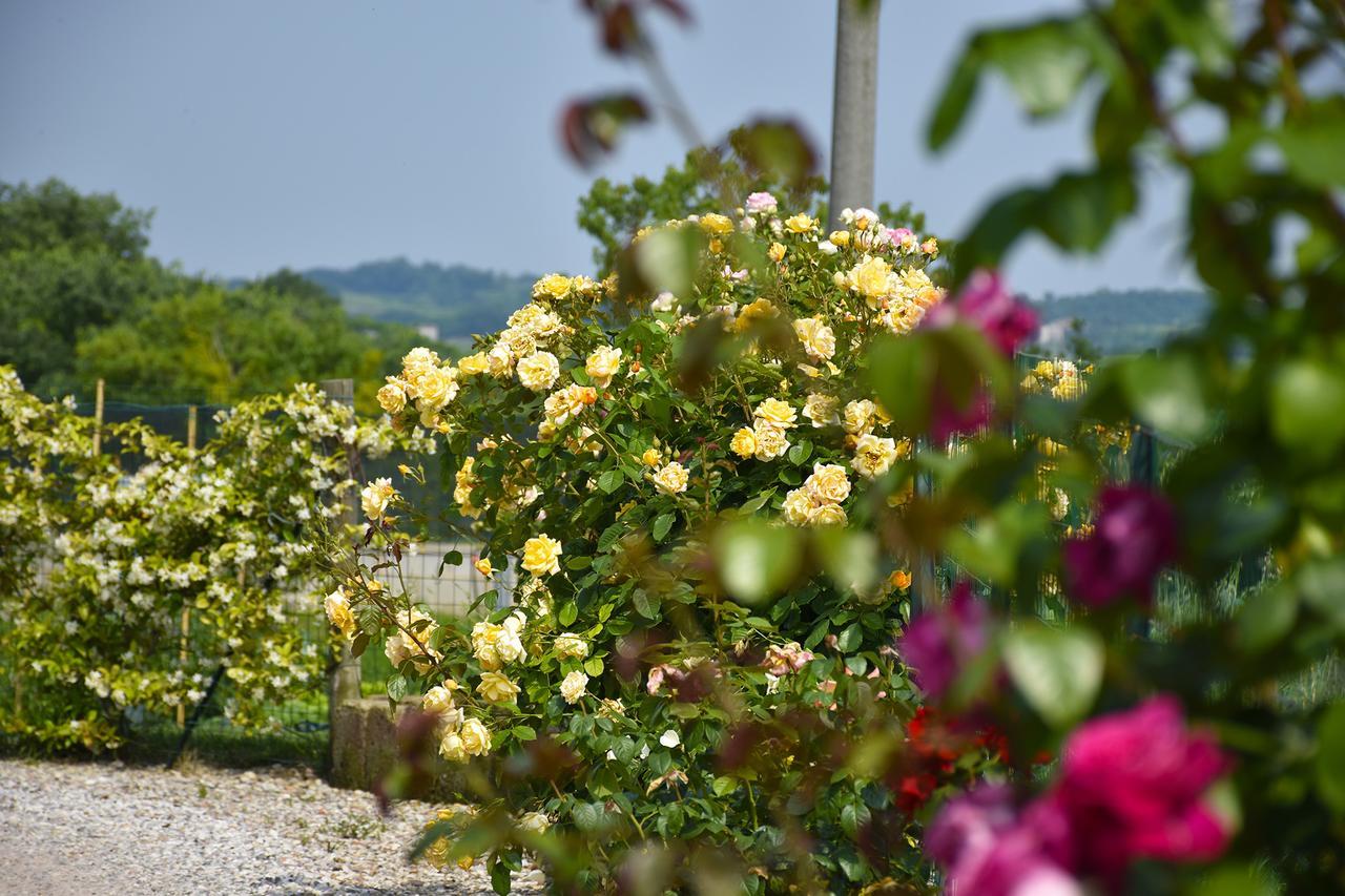 Agriturismo Panorama Salionze Екстериор снимка